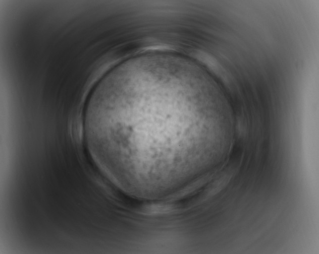X0000093171274200710031457