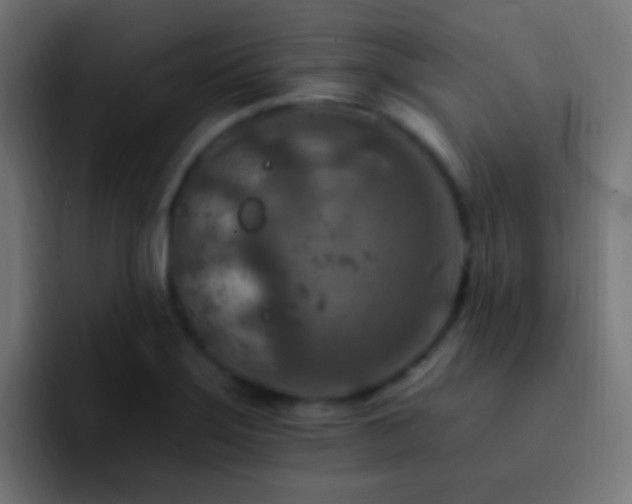 X0000093171275200710031457