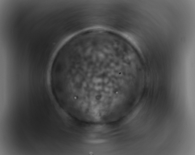 X0000093171279200710031457