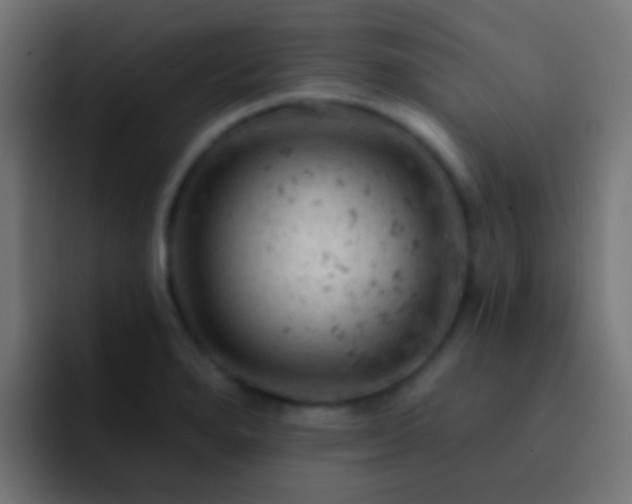 X0000093171280200710031457