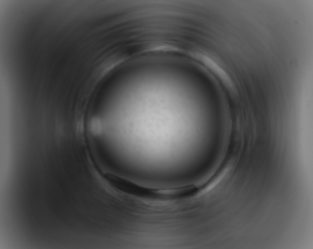 X0000093171281200710031457