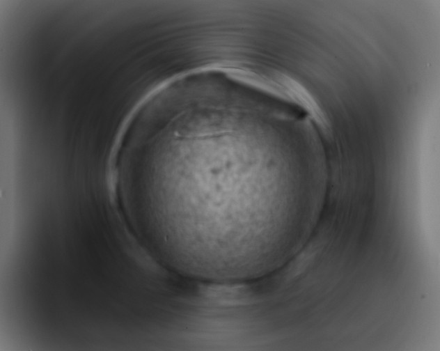 X0000093171284200710031457