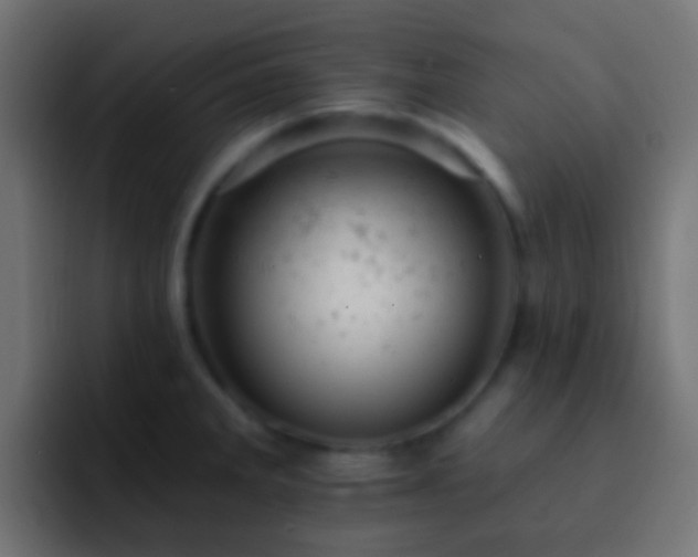 X0000093171285200710031457