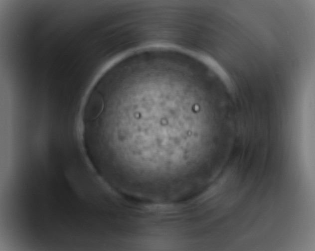 X0000093171287200710031457