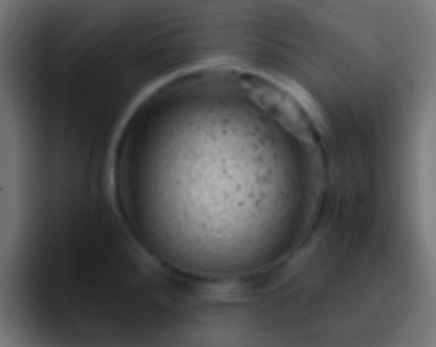 X0000093171288200710031457