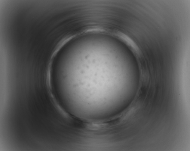 X0000093171290200710031457