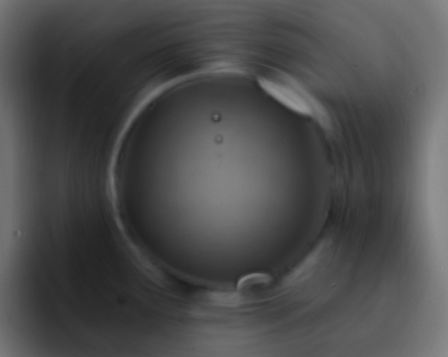 X0000093171291200710031457
