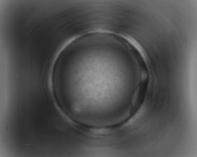 X0000093171293200710031457