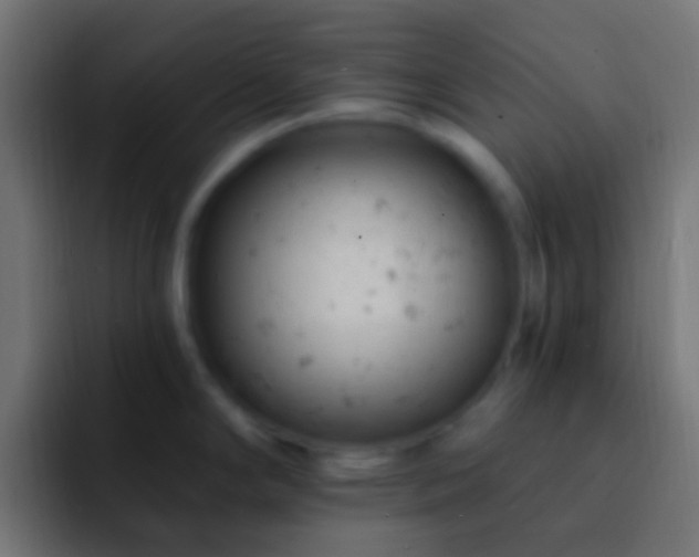X0000093171294200710031457