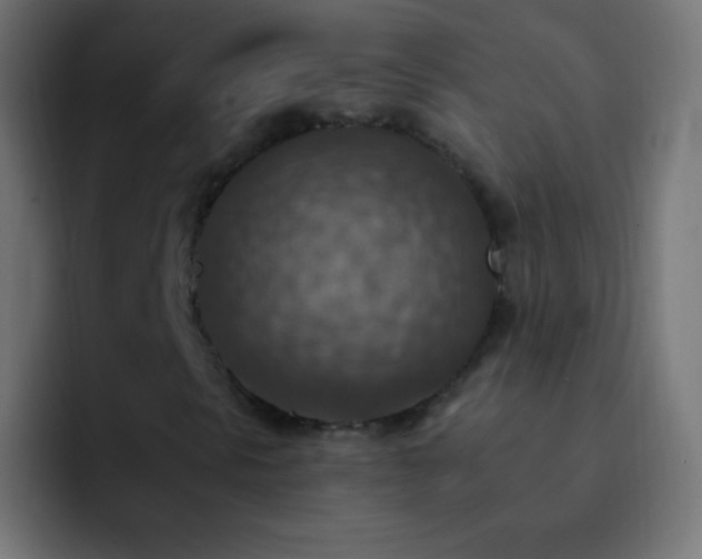 X0000093171297200710031456