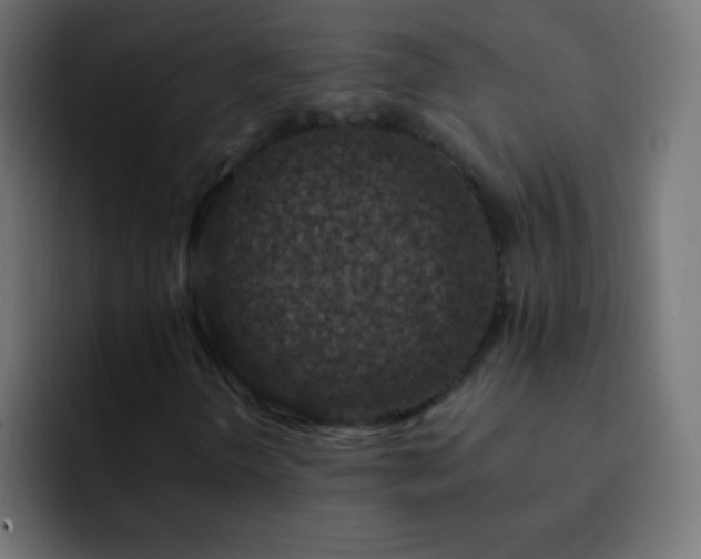 X0000093171298200710031456