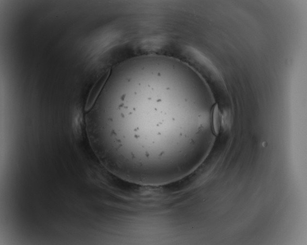 X0000093171299200710031456