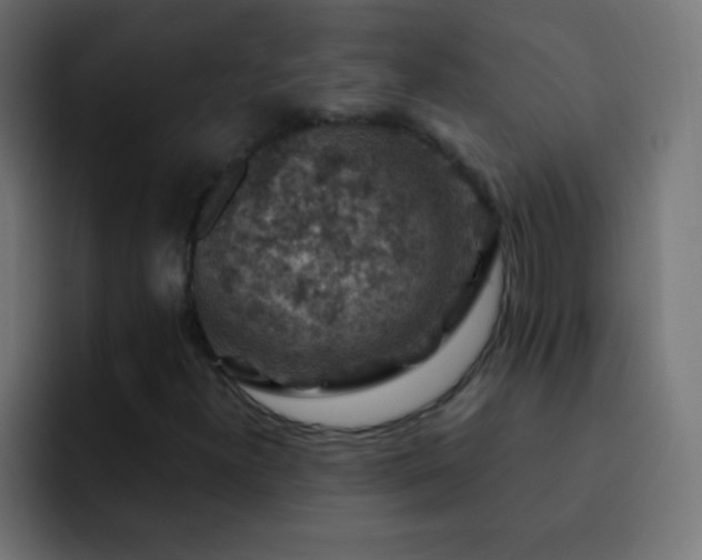 X0000093171300200710031456