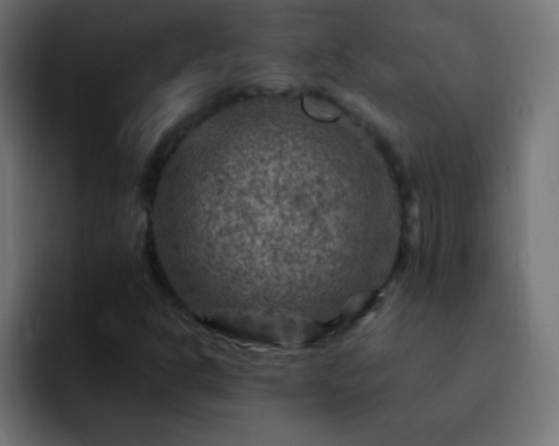 X0000093171302200710031456