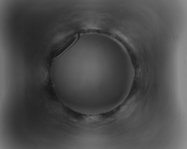 X0000093171303200710031456