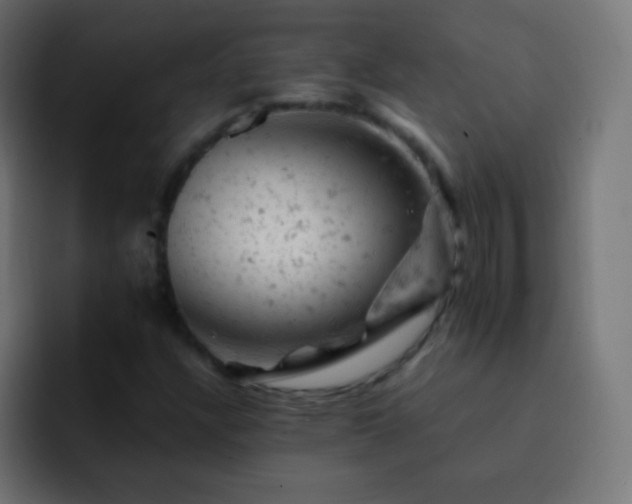 X0000093171304200710031456