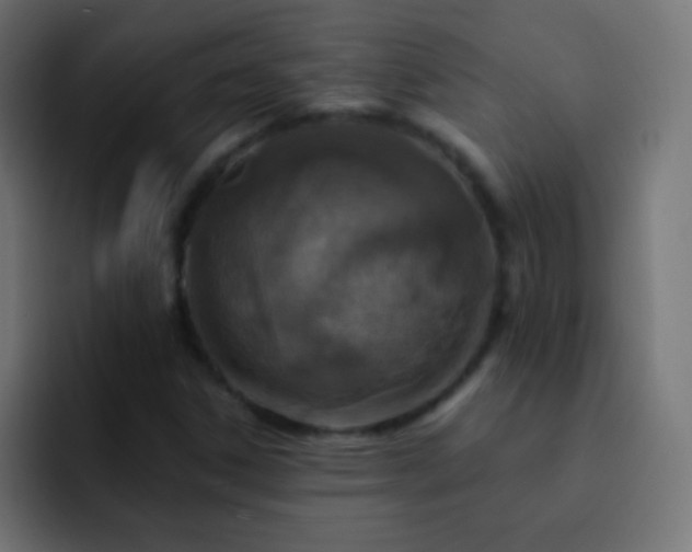 X0000093171306200710031456