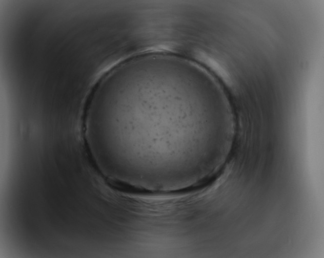 X0000093171308200710031456