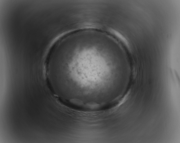 X0000093171310200710031456