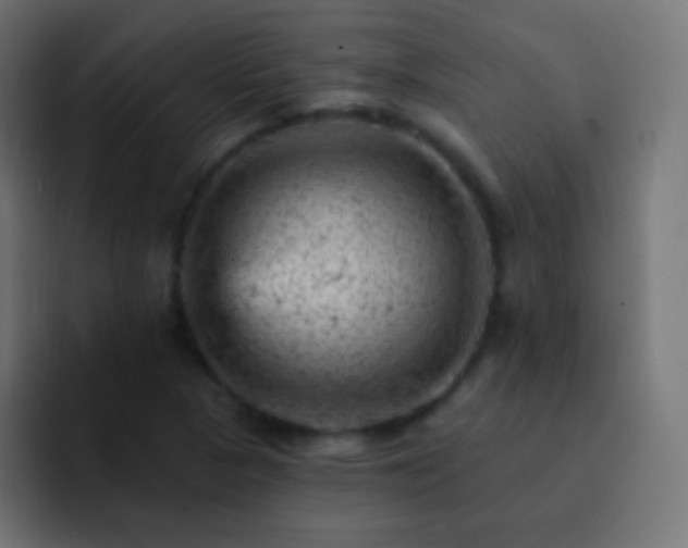 X0000093171313200710031457