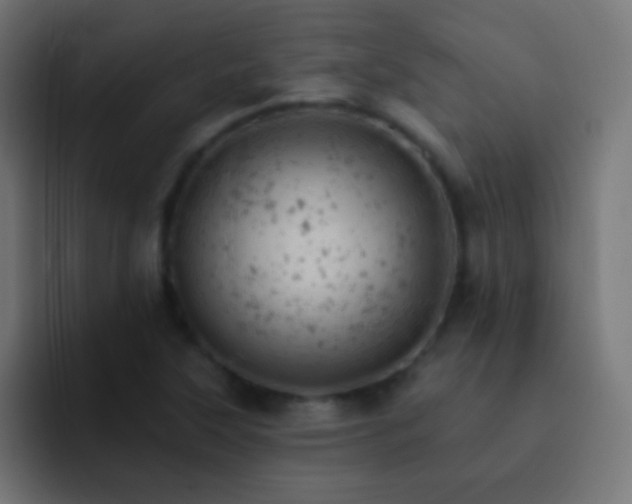 X0000093171315200710031457