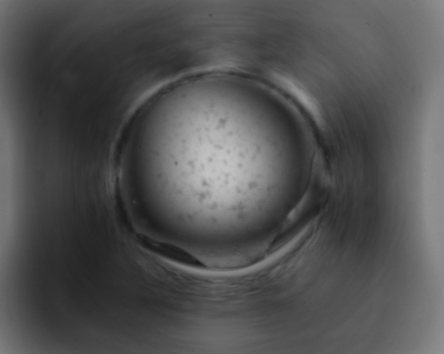 X0000093171316200710031457