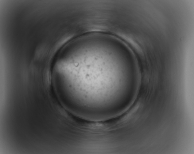 X0000093171317200710031457