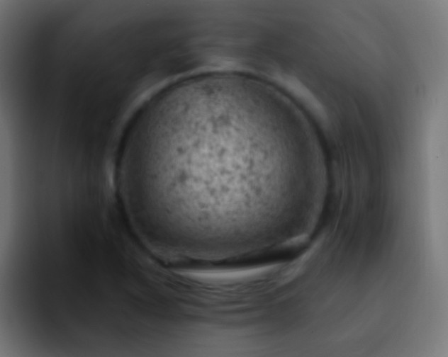 X0000093171318200710031457