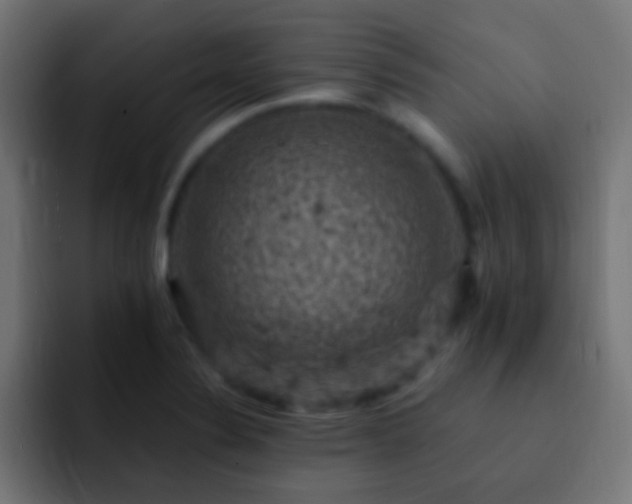 X0000093171324200710031457