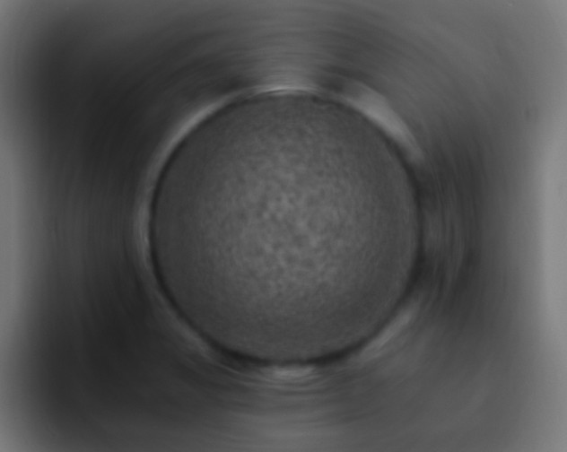 X0000093171325200710031457