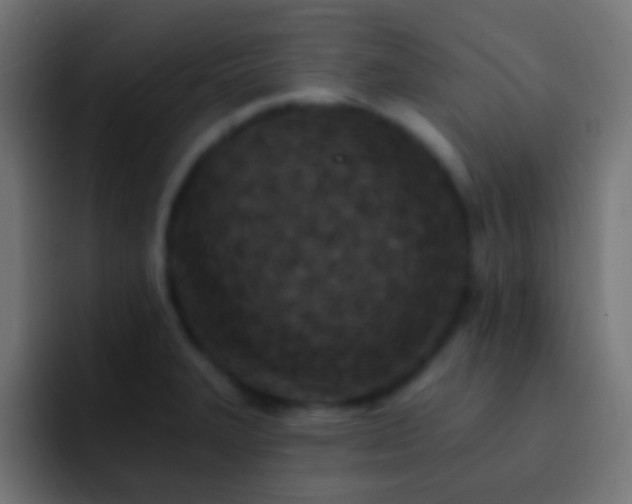 X0000093171327200710031457