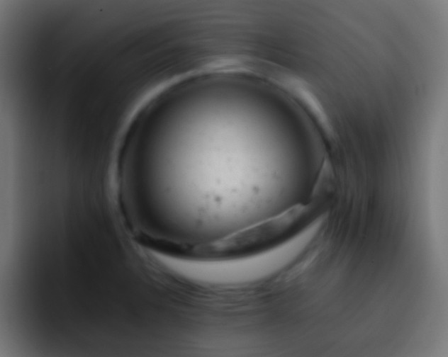 X0000093171328200710031457