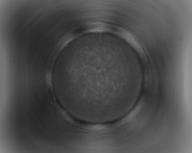 X0000093171329200710031457
