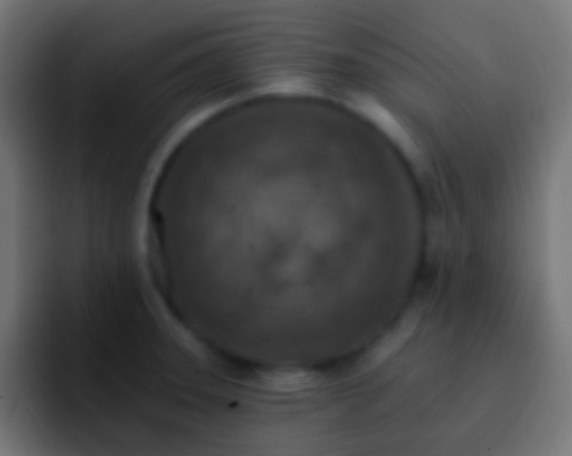 X0000093171331200710031457