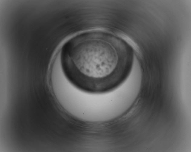 X0000093171332200710031457