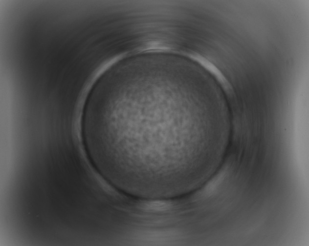 X0000093171333200710031457