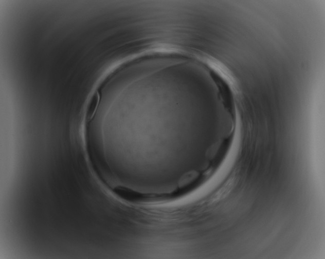 X0000093171334200710031457
