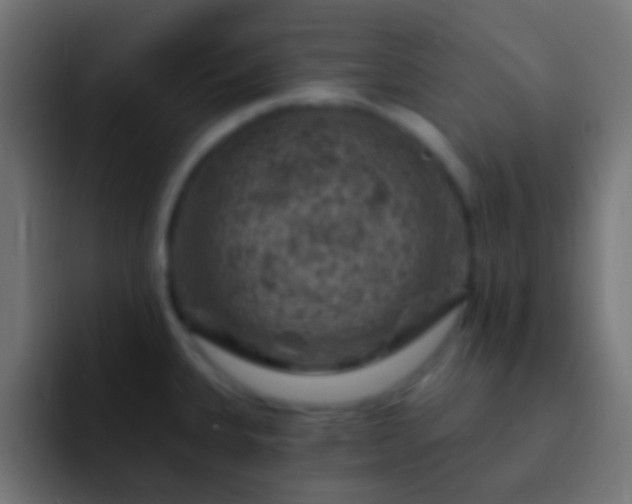 X0000093171335200710031457