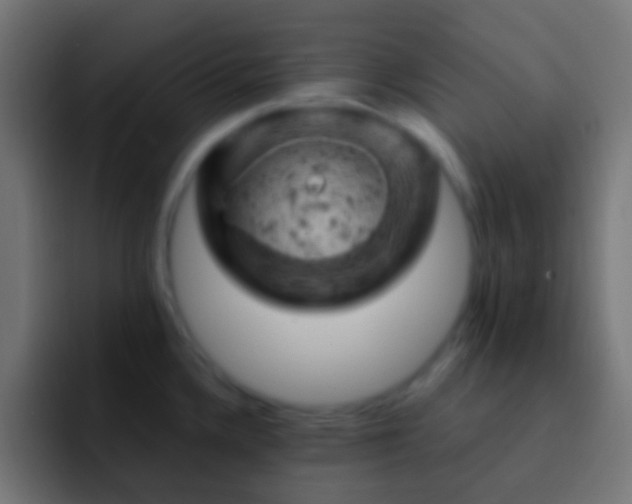 X0000093171336200710031457