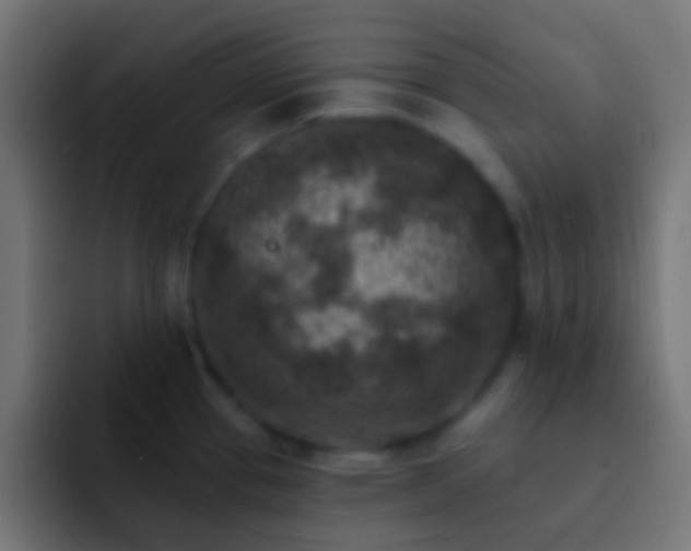 X0000093171337200710031457