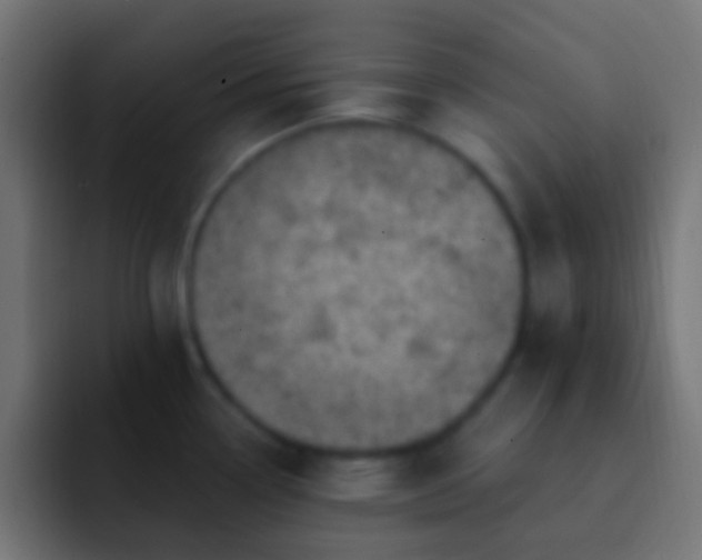 X0000093171338200710031457