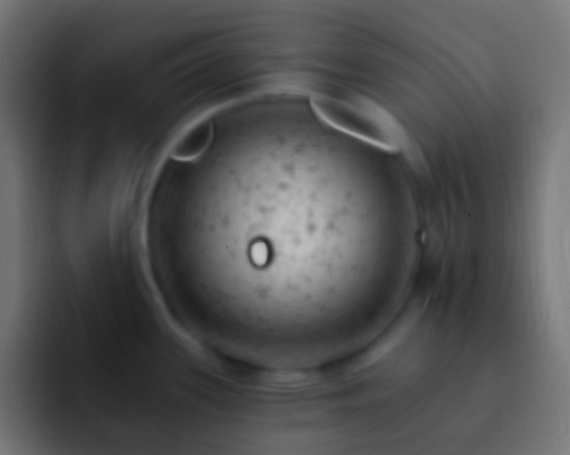 X0000093171339200710031457