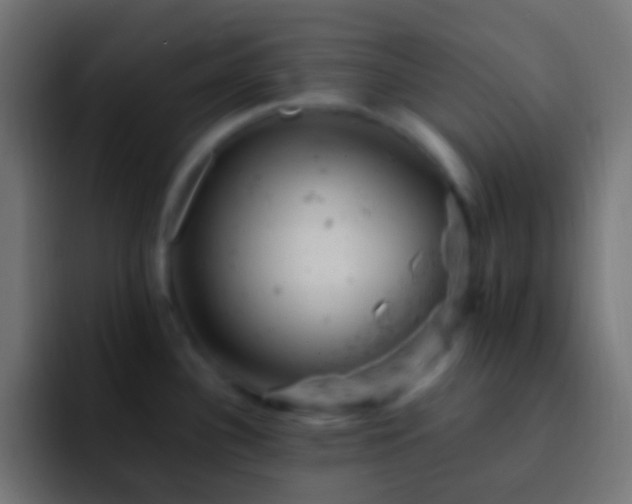 X0000093171340200710031457