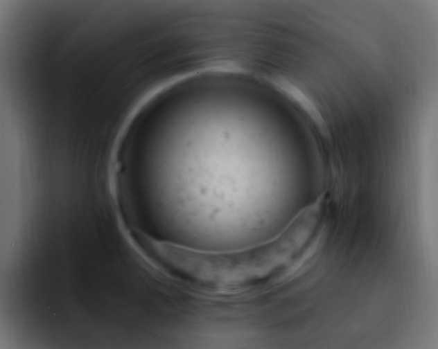X0000093171342200710031457