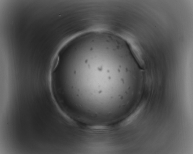 X0000093171343200710031457