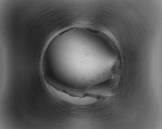 X0000093171344200710031457