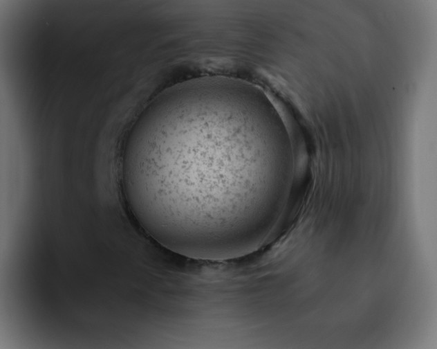 X0000093171345200710031456