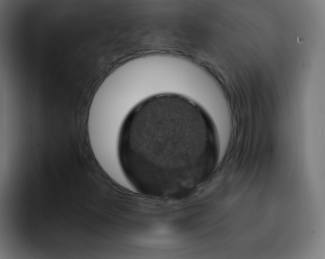 X0000093171348200710031456