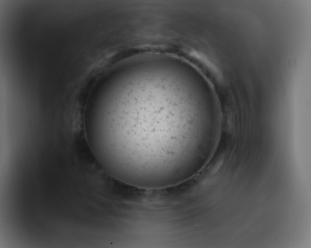 X0000093171350200710031456