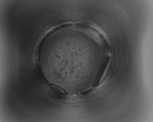 X0000093171352200710031456